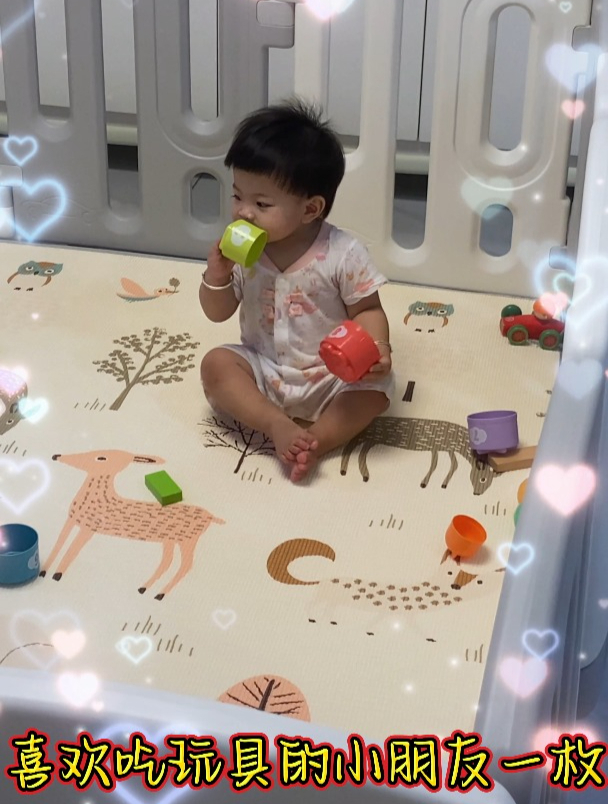 积木是小布丁玩最久的玩具看来小朋友还是比较喜欢的玩智力型玩具