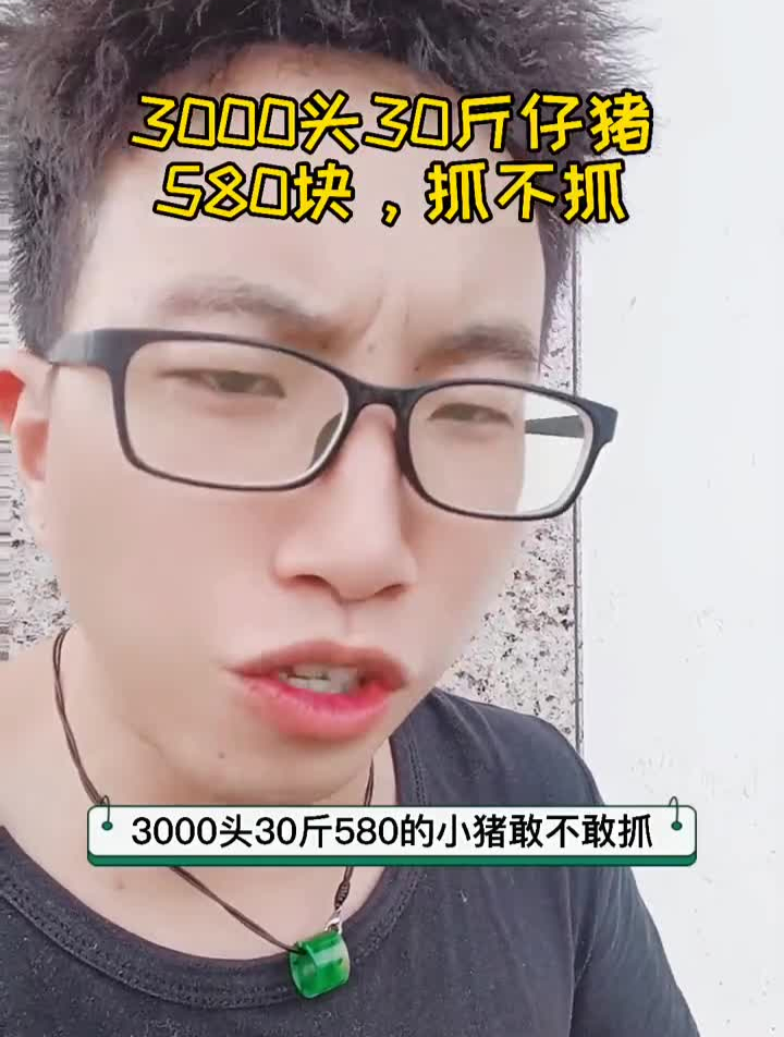 毛猪6字头,小猪也进入600以内,定了3000头