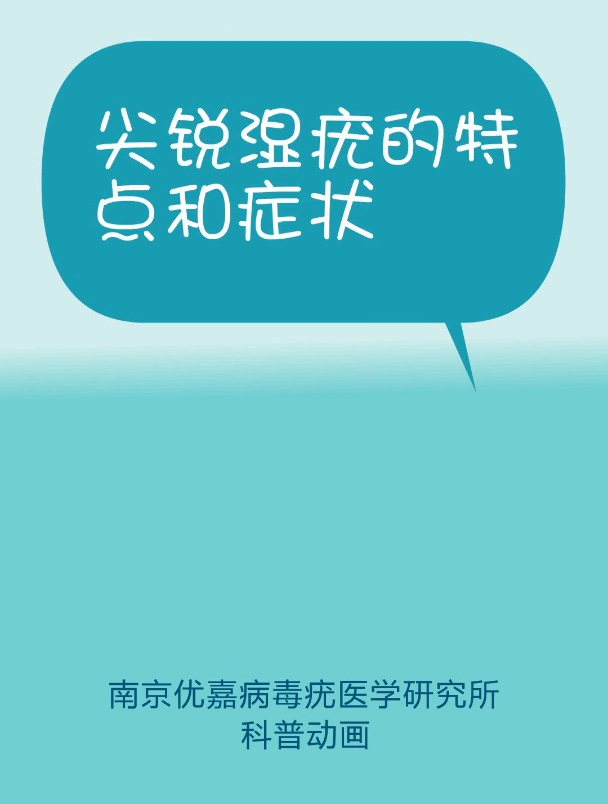 尖锐湿疣的特点和症状