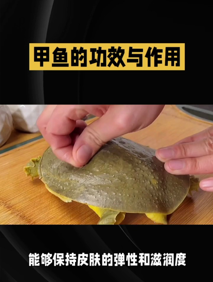 甲鱼的功效与作用