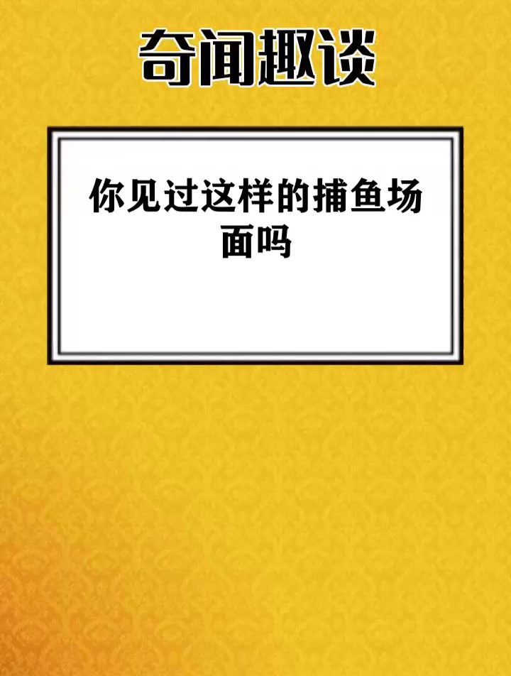 你见过这样的捕鱼场面吗