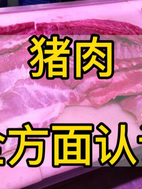 猪肉全方面认识,如何选猪肉
