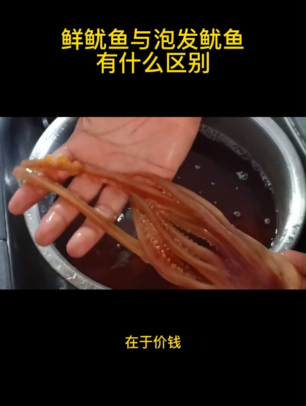 鲜鱿鱼与泡发鱿鱼有什么区别
