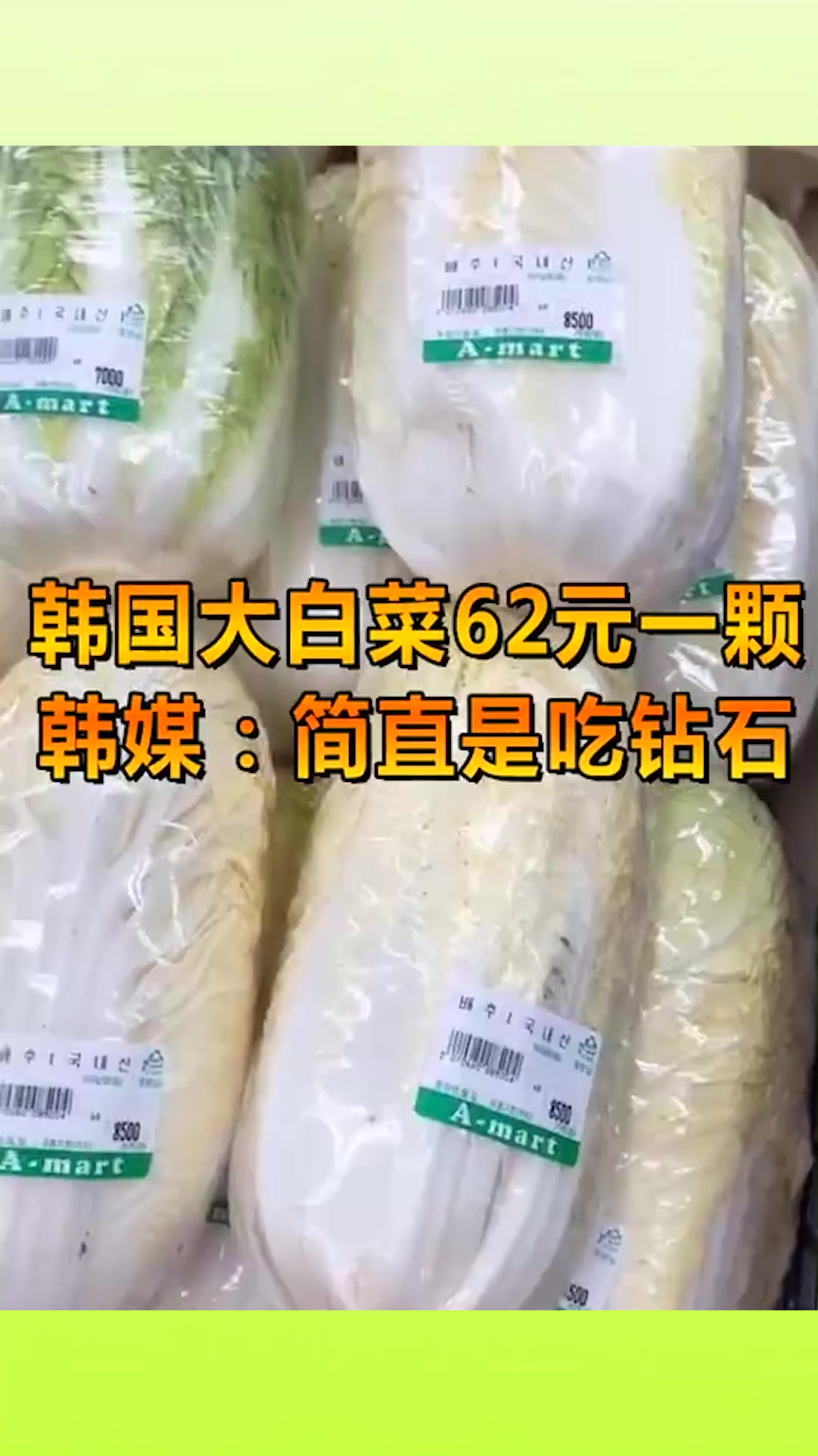 奇趣:韩国大白菜62元一颗,韩媒这简直是吃钻石,对此你怎么看