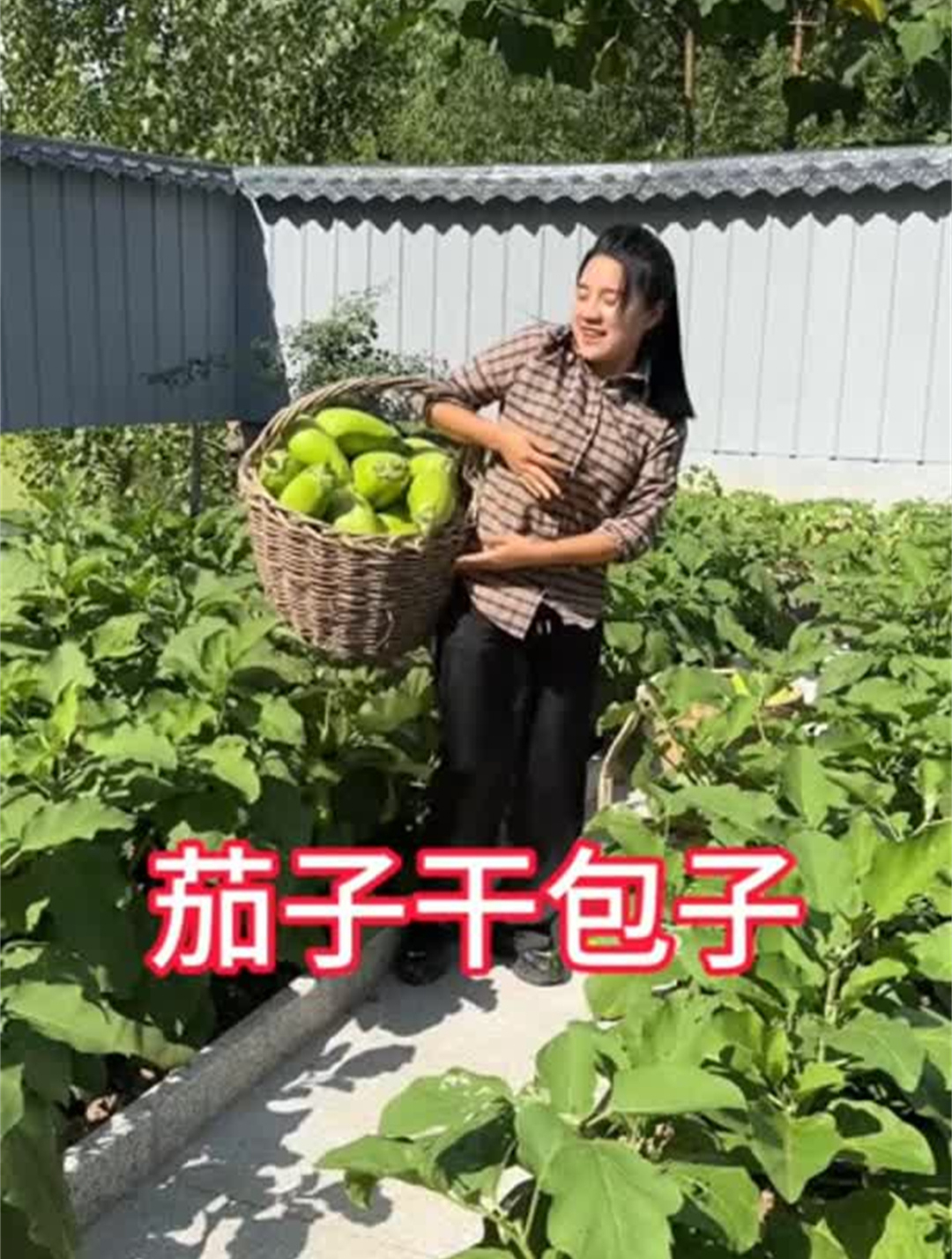 夏天晒的茄子干,今天用它包个大肉包子……
