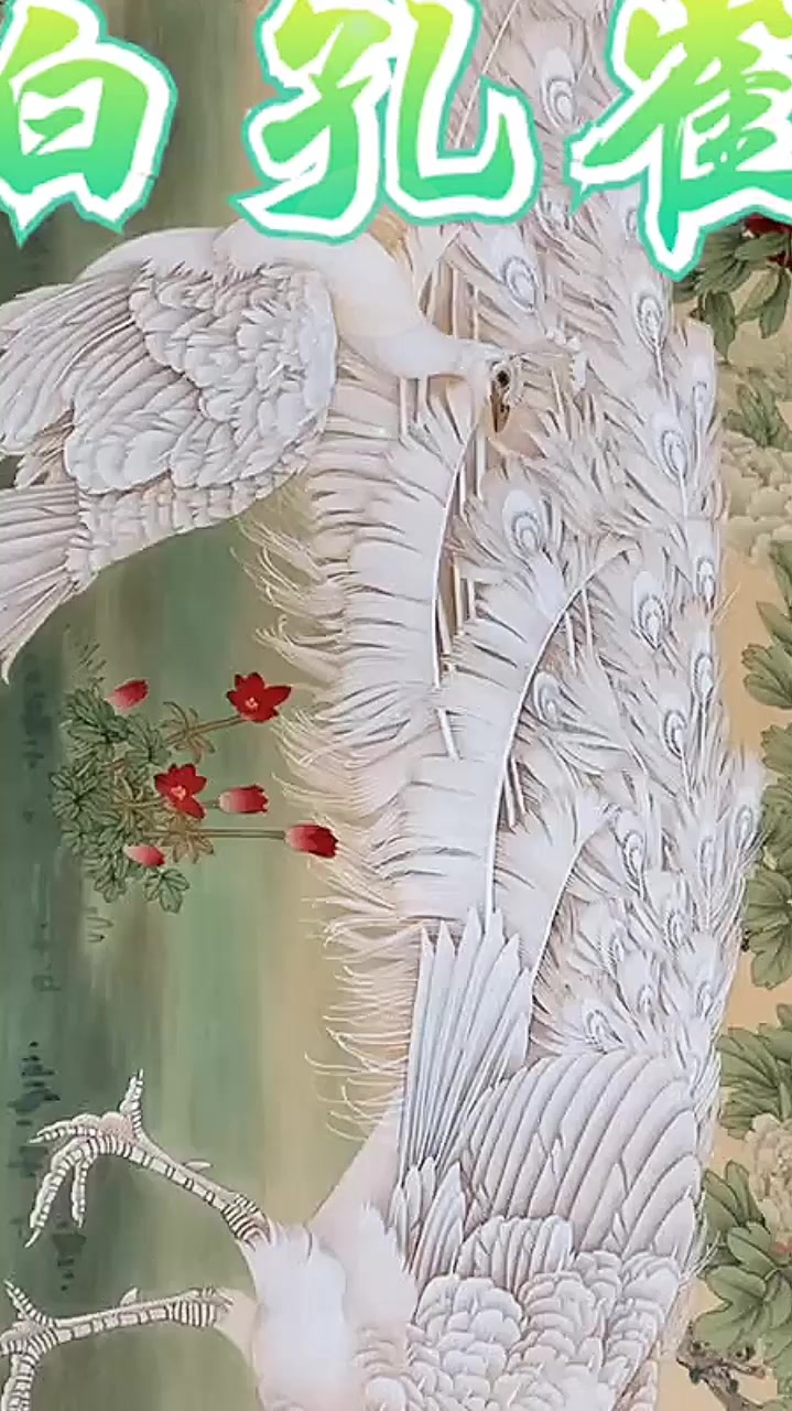 工笔花鸟画白孔雀,作者关云桥,画的很细腻,很细致