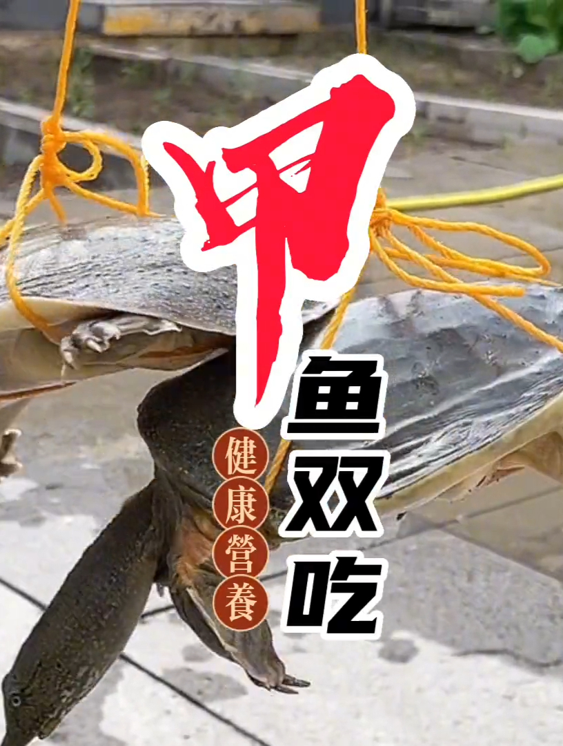 技能吃肉又能喝汤的方法,太补了