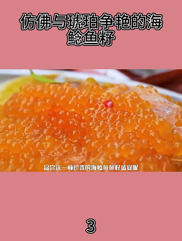 仿佛与琥珀争艳的海鲶鱼籽3