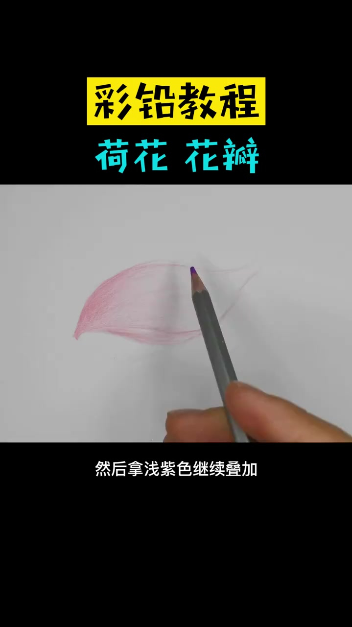 彩铅荷花花瓣教程,彩铅手绘