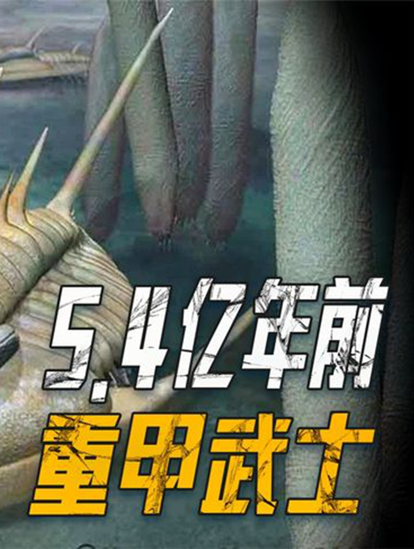 5.4亿年前深海虫,体长仅90厘米,纵横地球3亿年,它到底有多厉害