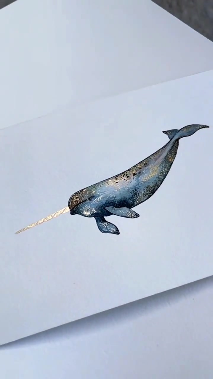 或许这就是孩子们想象中的鲸鱼吧