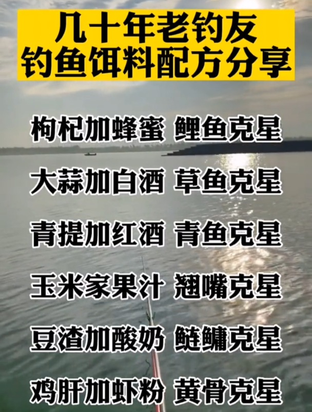 专克各种大鱼的饵料配方,没钓几十年鱼,压根不知道