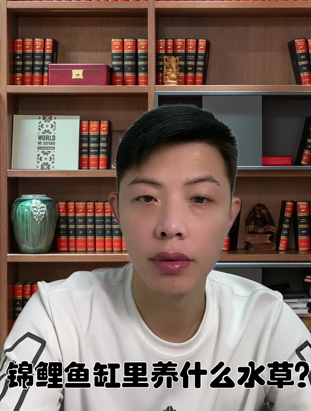 锦鲤鱼缸里养什么水草？