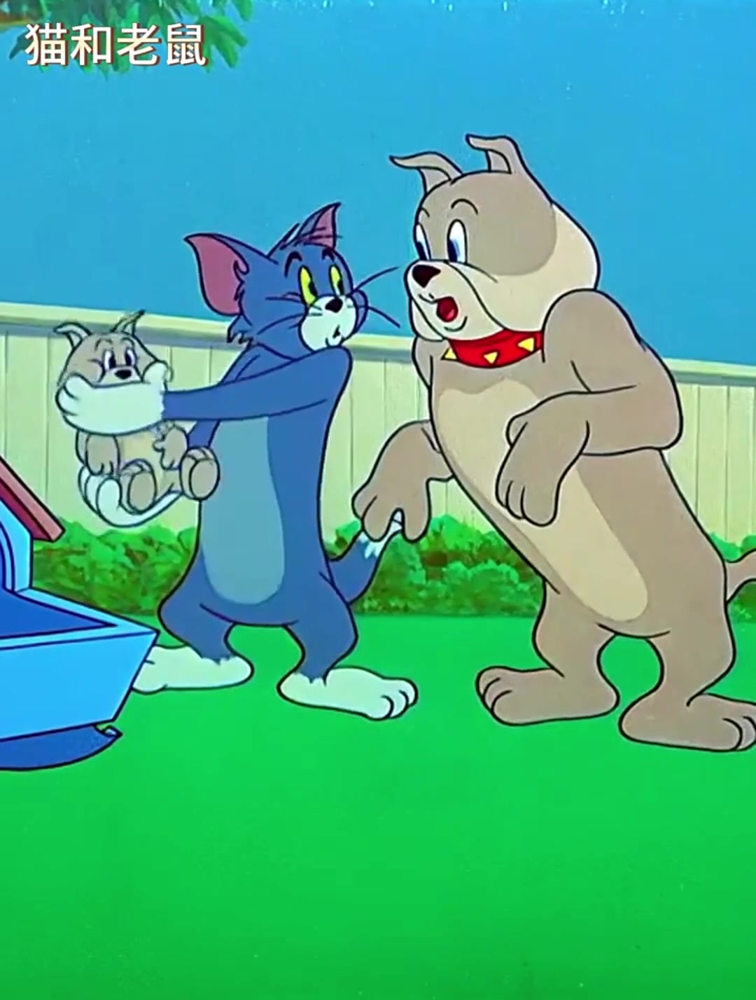 汤姆和杰瑞 一 猫和老鼠的故事