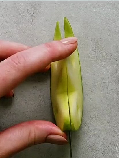 西餐米其林摆盘技巧