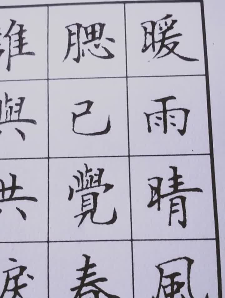 李清照“蝶恋花·暖玉清风初破冻”练字中性笔楷书书法