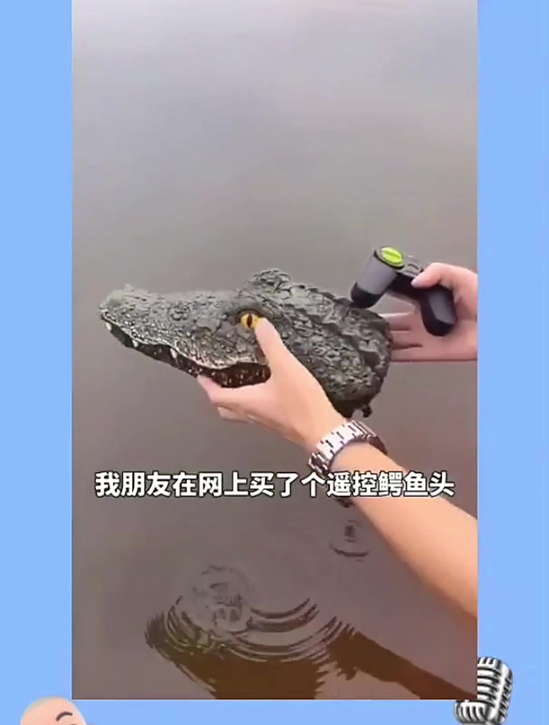 朋友买了个遥控鳄鱼头,拿到游泳馆玩,没想到结果惨了