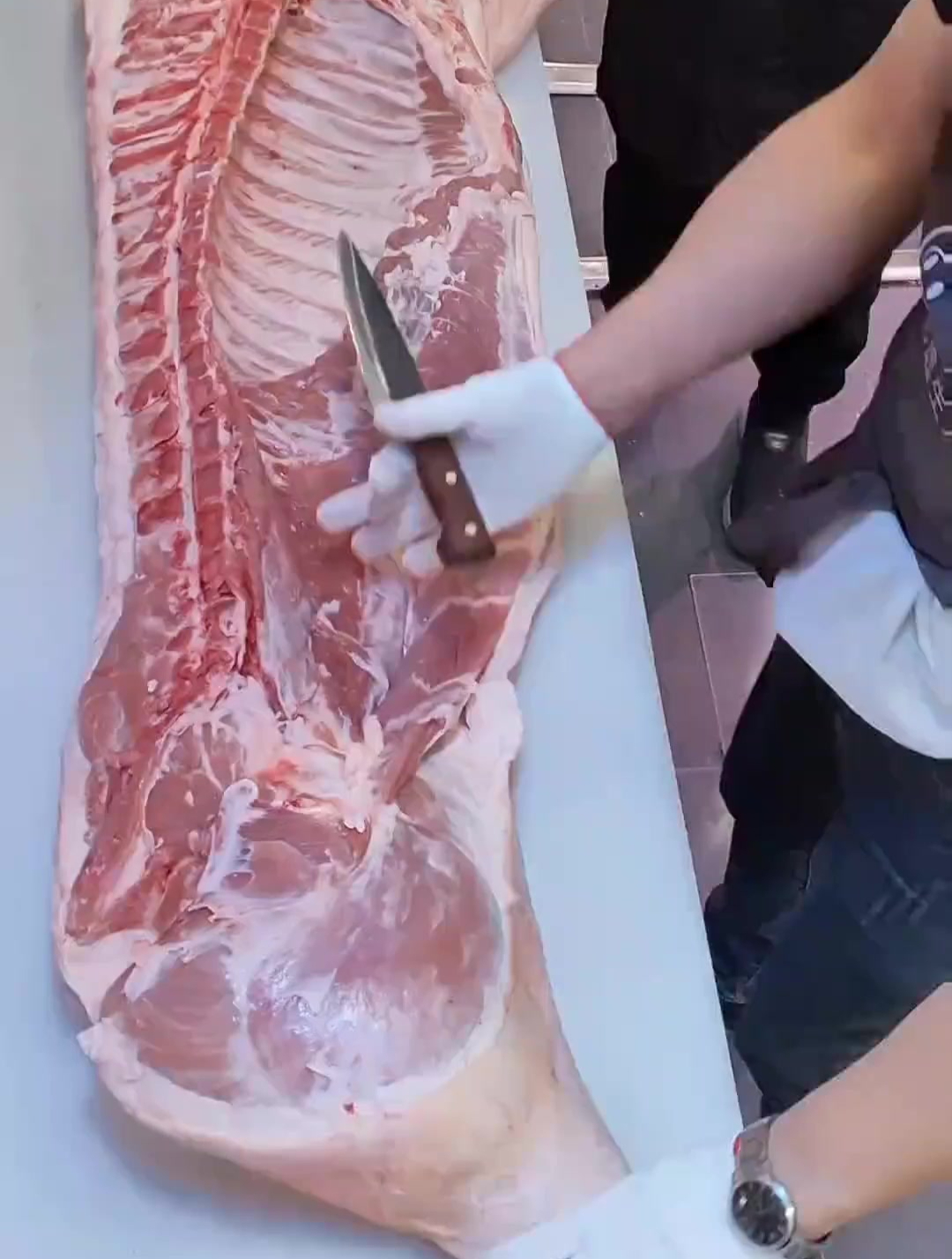猪后腿剔骨分割 猪肉分割技巧
