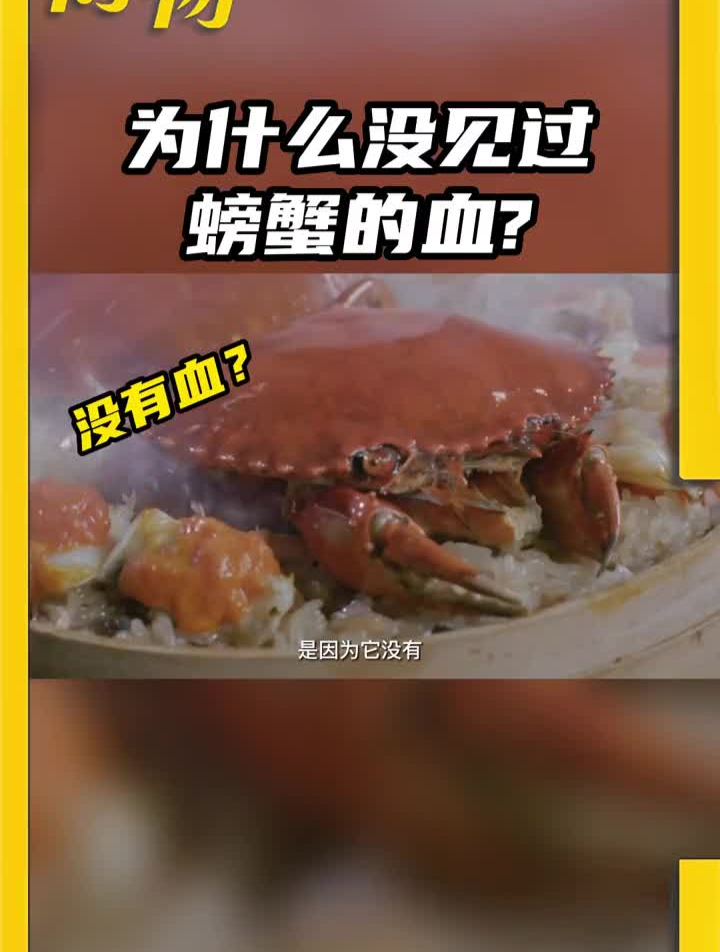 不仅螃蟹,龙虾血是不是也没见过?