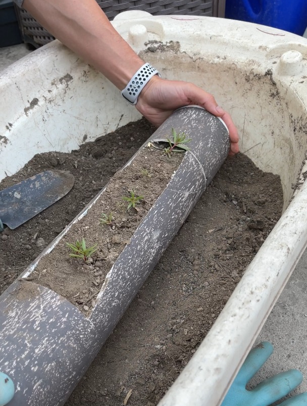 废弃pvc水管改造一下用来种花