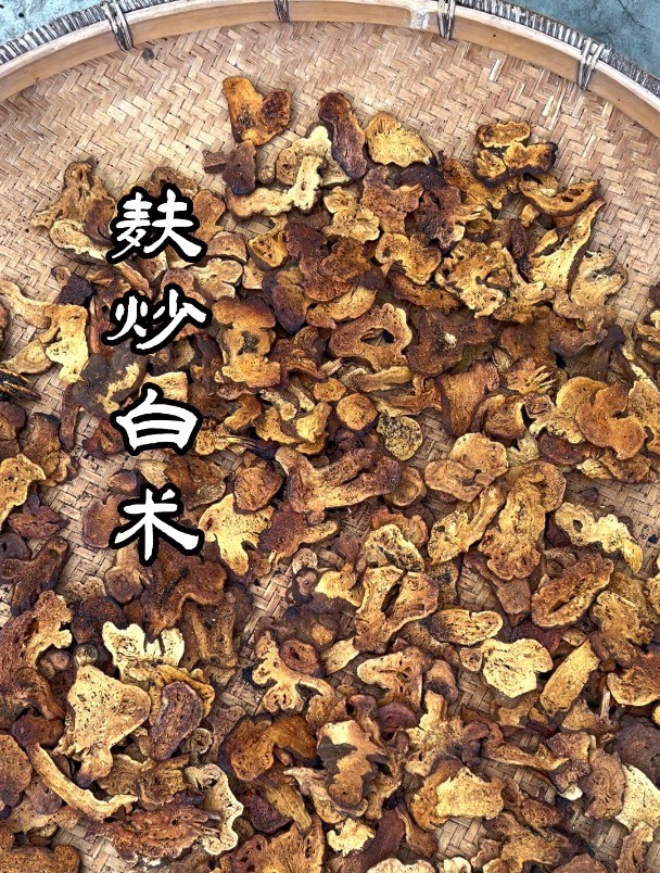 00后小中医陈广辉麸炒白术