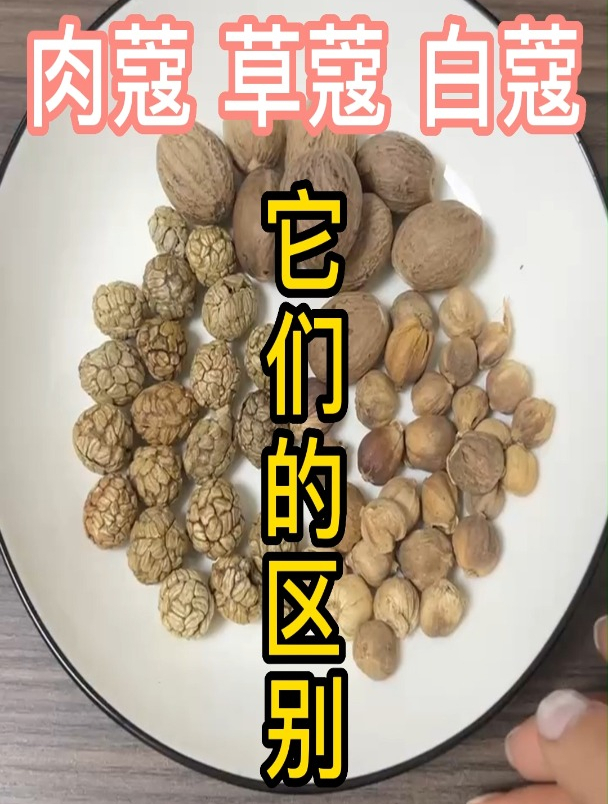 肉蔻、草蔻和白蔻的区别以及用途,你了解多少呢?