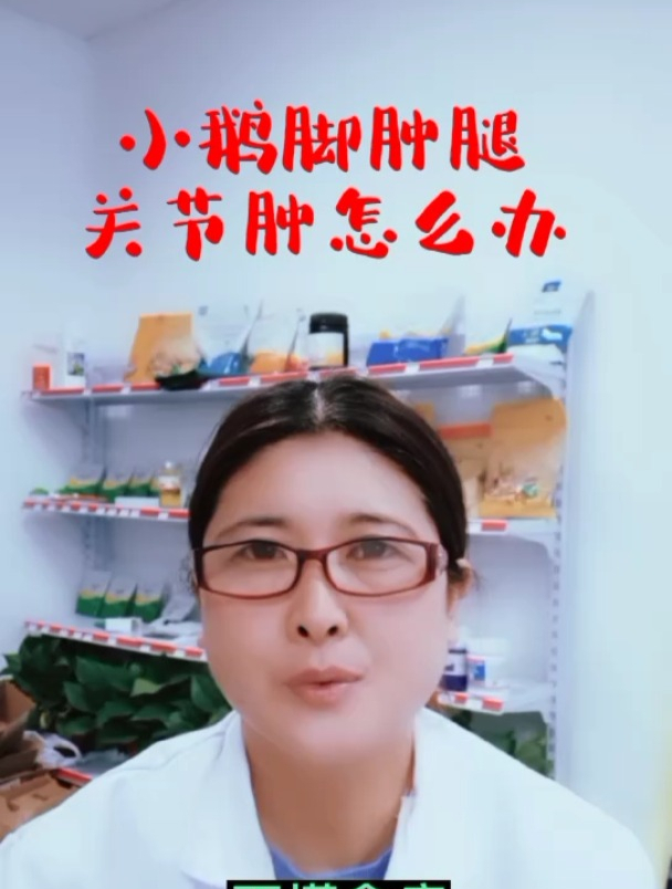 小鹅脚肿关节肿怎么办 鹅痛风症状有哪些 鹅腿瘸腿软瘫痪怎么办