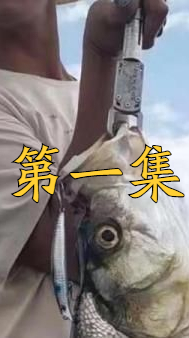 翘嘴鲌入侵四川第二大淡水湖,疯狂繁殖,能泛滥成灾吗?第1/3集