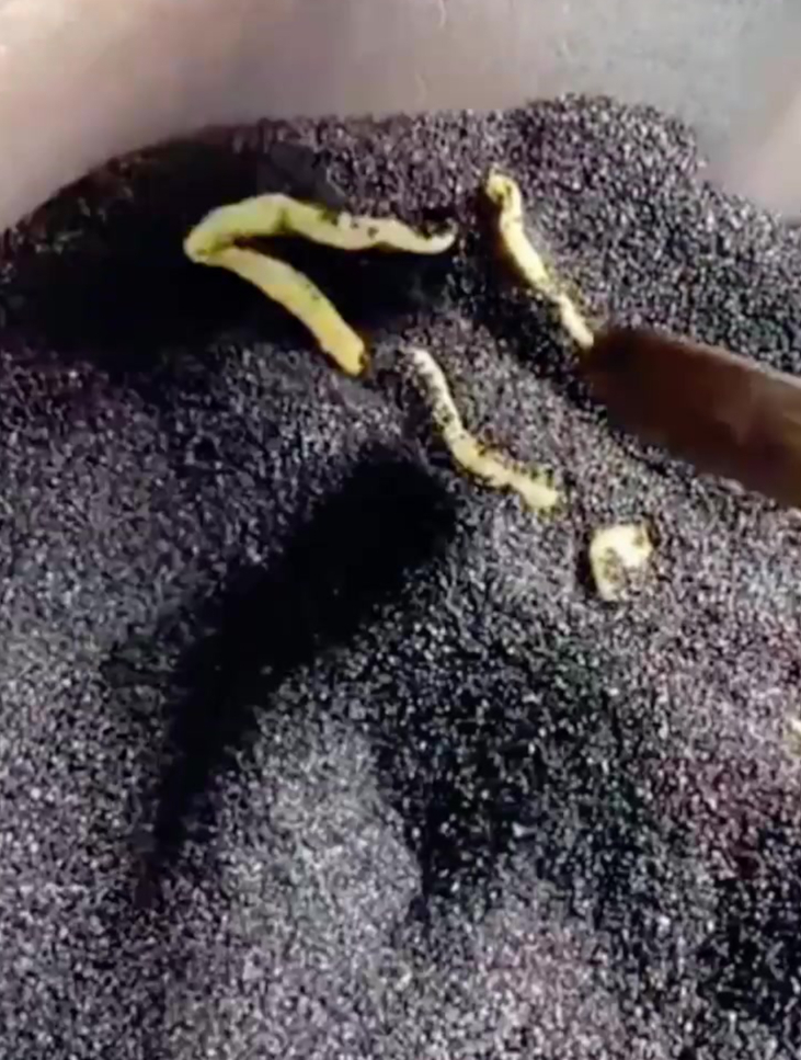 虽然都是膨化食品,但是非油炸,比薯片强太多!