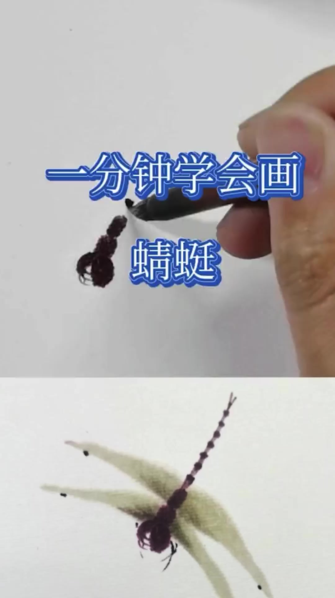 国画蜻蜓画法,来试一下吧?