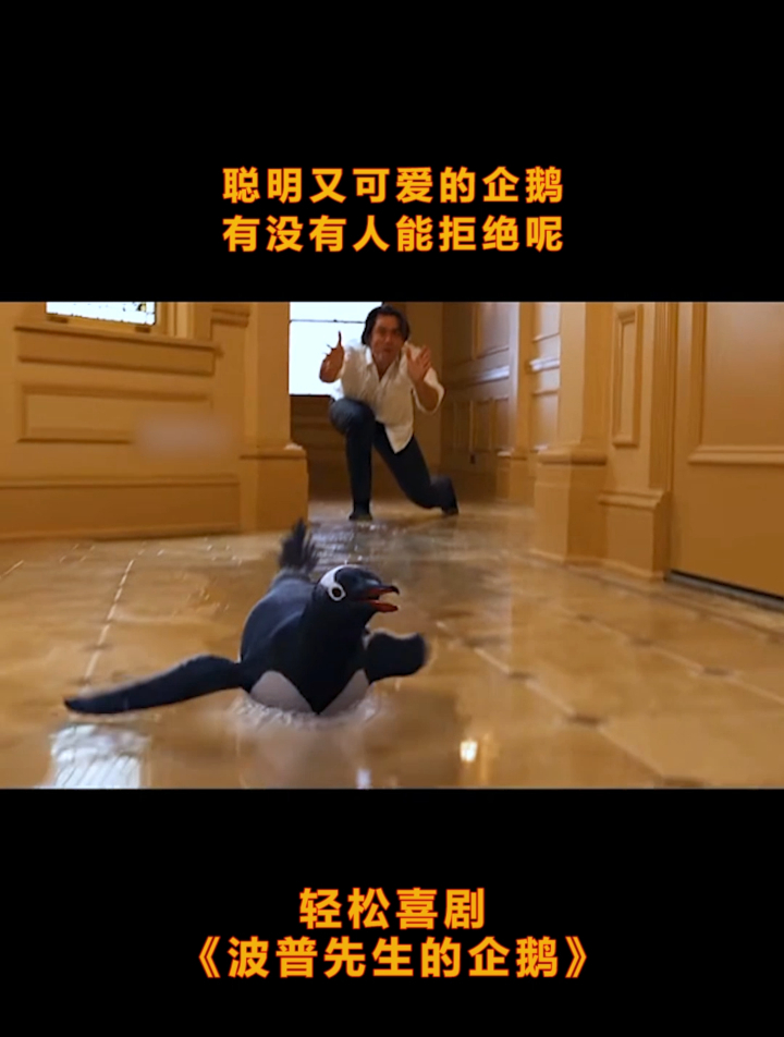 轻松喜剧《波普先生的企鹅》