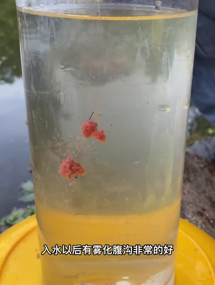 老鬼新饵南极虾拉饵料搭配饵料钓鱼饵料鱼饵户外钓鱼