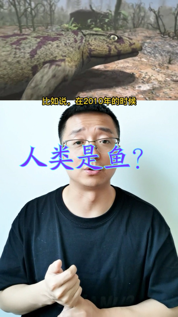 科学家:人类是从鱼进化而来的,有过渡化石,进化过程是这样的