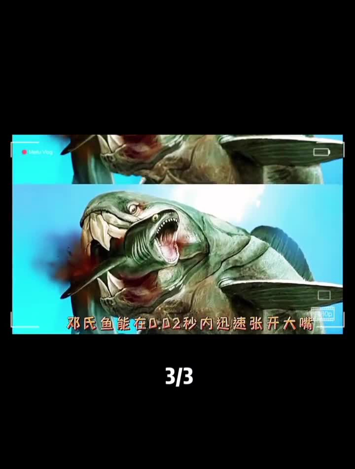 邓氏鱼动物世界神奇动物在动物奇妙的动物海洋生物