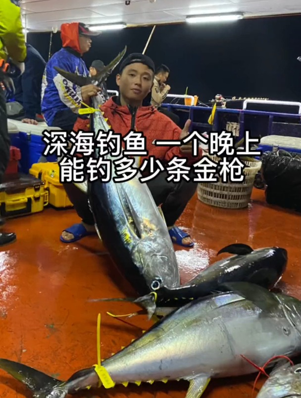 今天又去钓金枪鱼了,看一下我一个晚上能钓多少条深海船钓海钓船