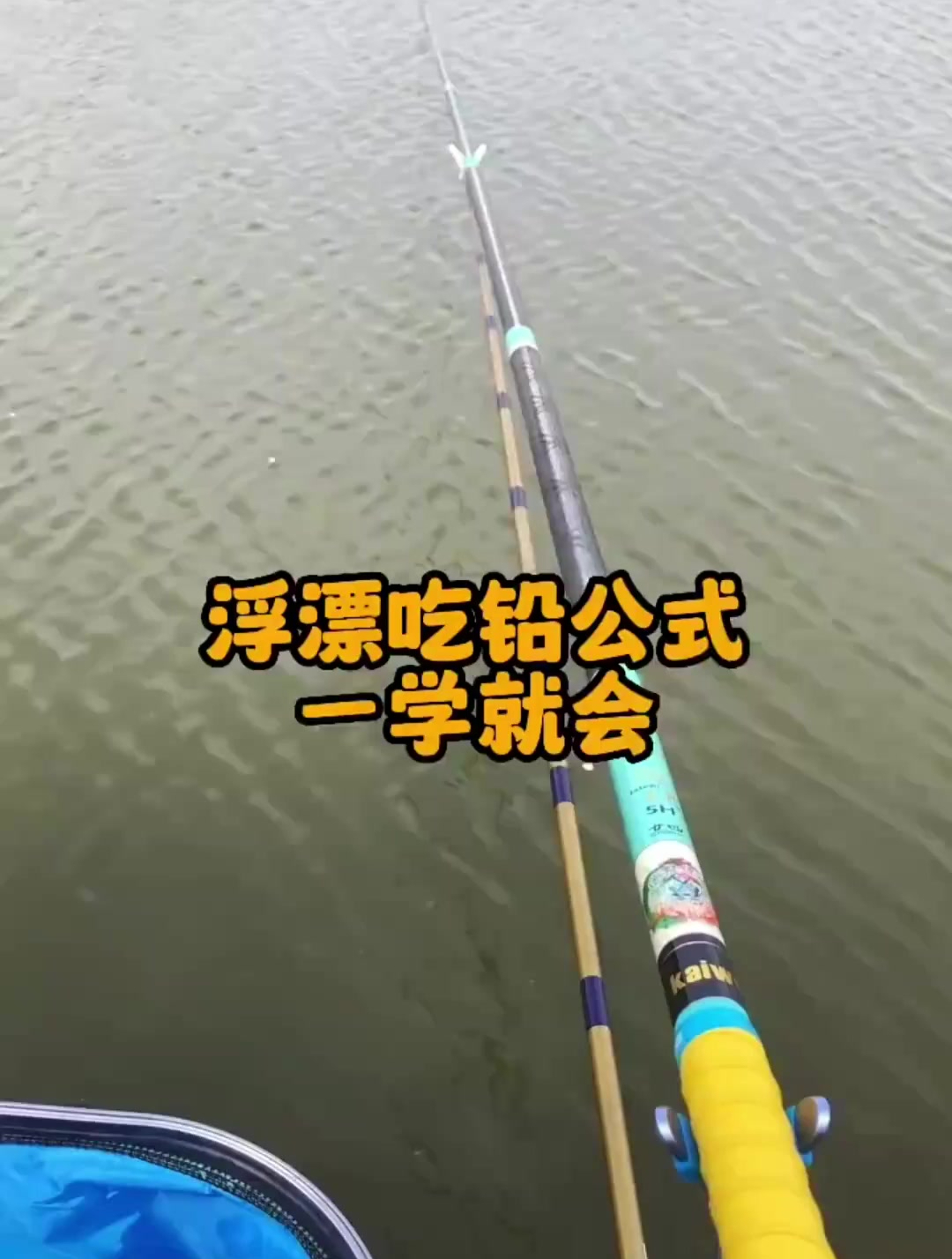 1分钟让你秒变钓鱼高手,钓鱼大师收藏浮漂调漂公式,一定要学会