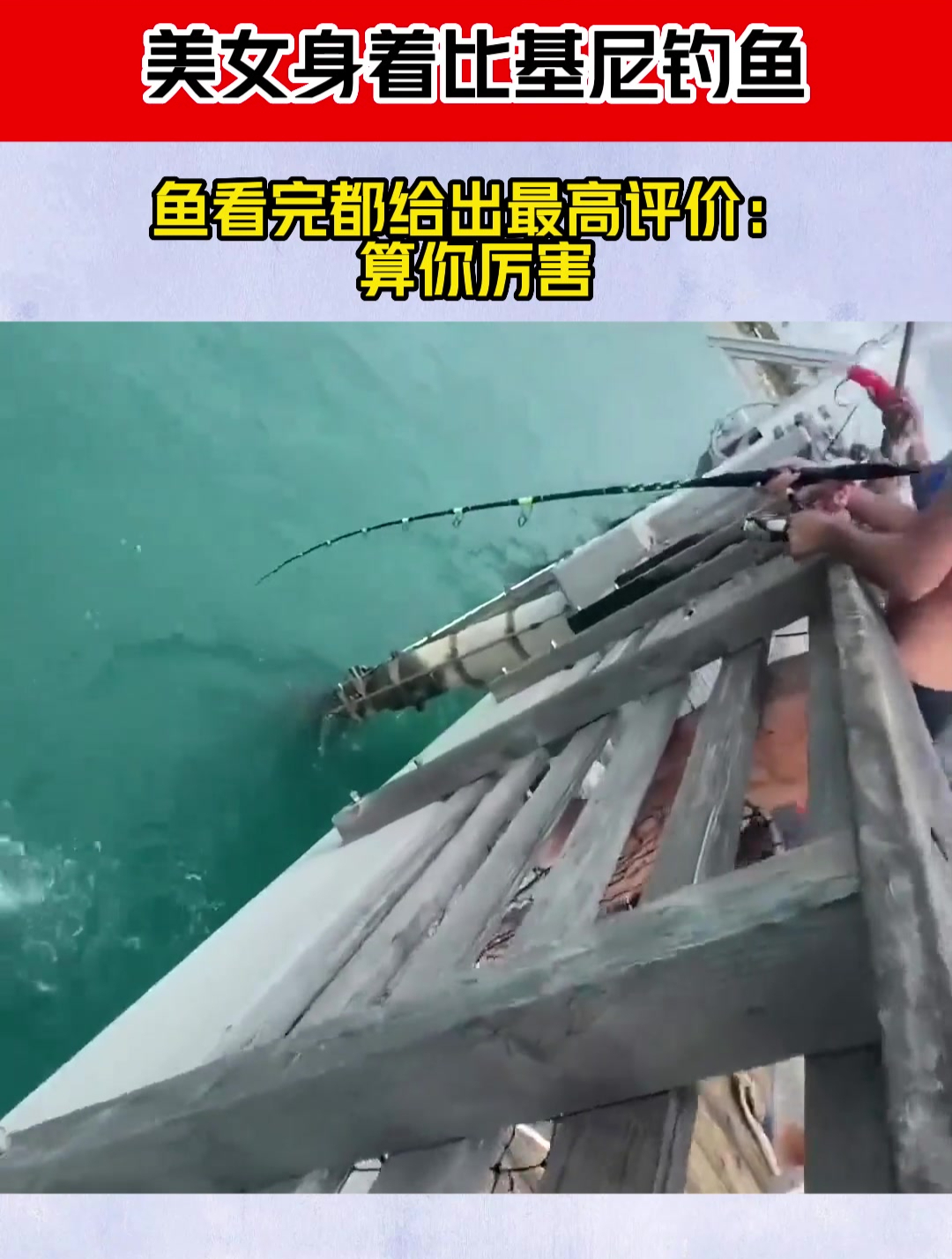 美女身着比基尼钓鱼,鱼看完都给出最高评价:算你厉害