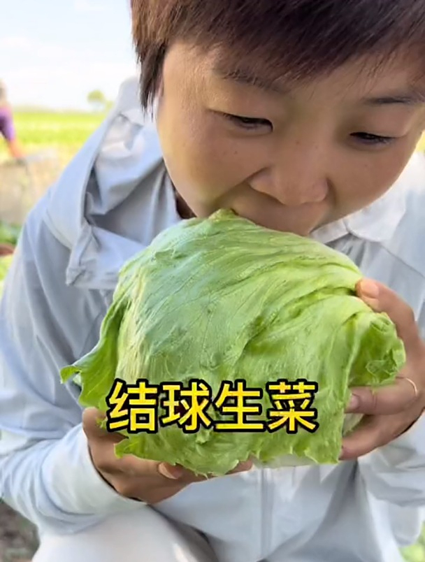 脂肪最怕的蔬菜“结球生菜”,不愧是蔬菜沙拉里的主力军!