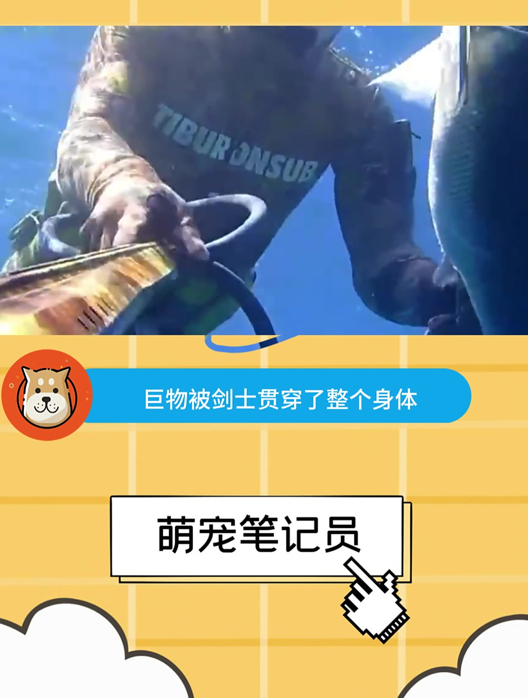 深海潜捕80斤的大鲹鱼,精彩程度超出你想象!