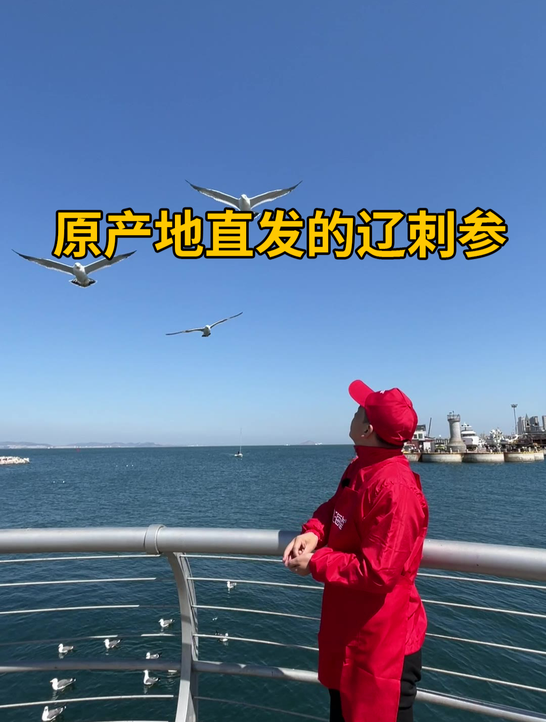 原产地直发的辽刺参