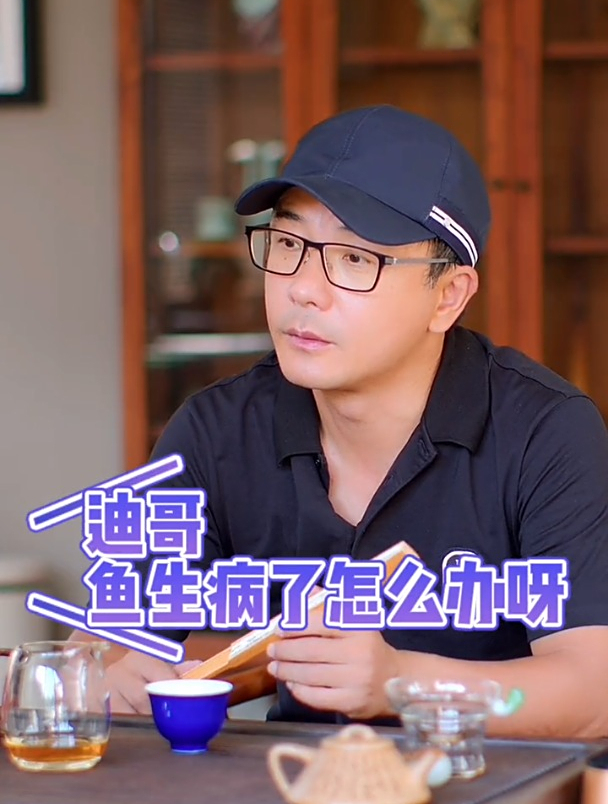 鱼生病了怎么办?这条千万要看!