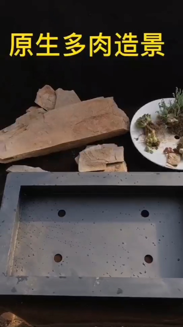 视频教学:手把手教你打造原生多肉造景