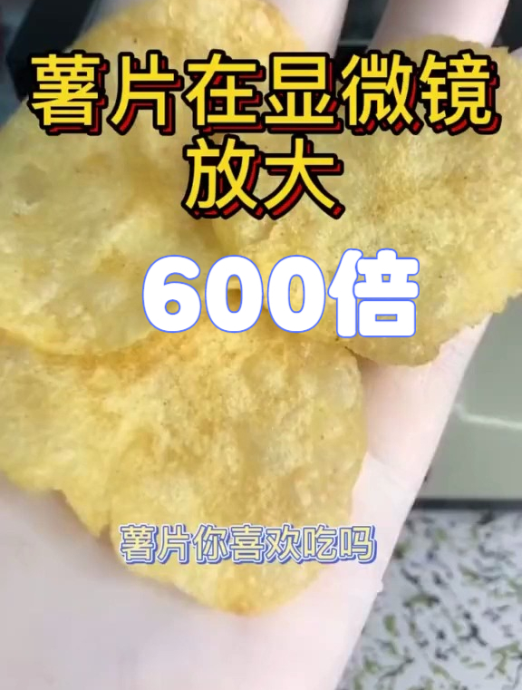 显微镜下的世界,薯片放大600倍