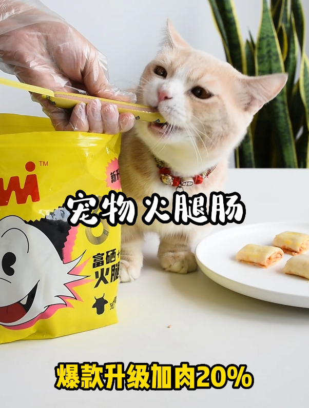佩妮火腿肠,好吃又补钙,猫猫狗狗都超级爱吃的!