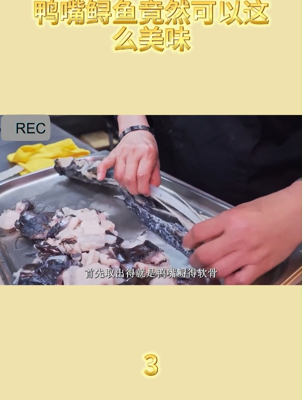 鸭嘴鲟鱼竟然可以这么美味3