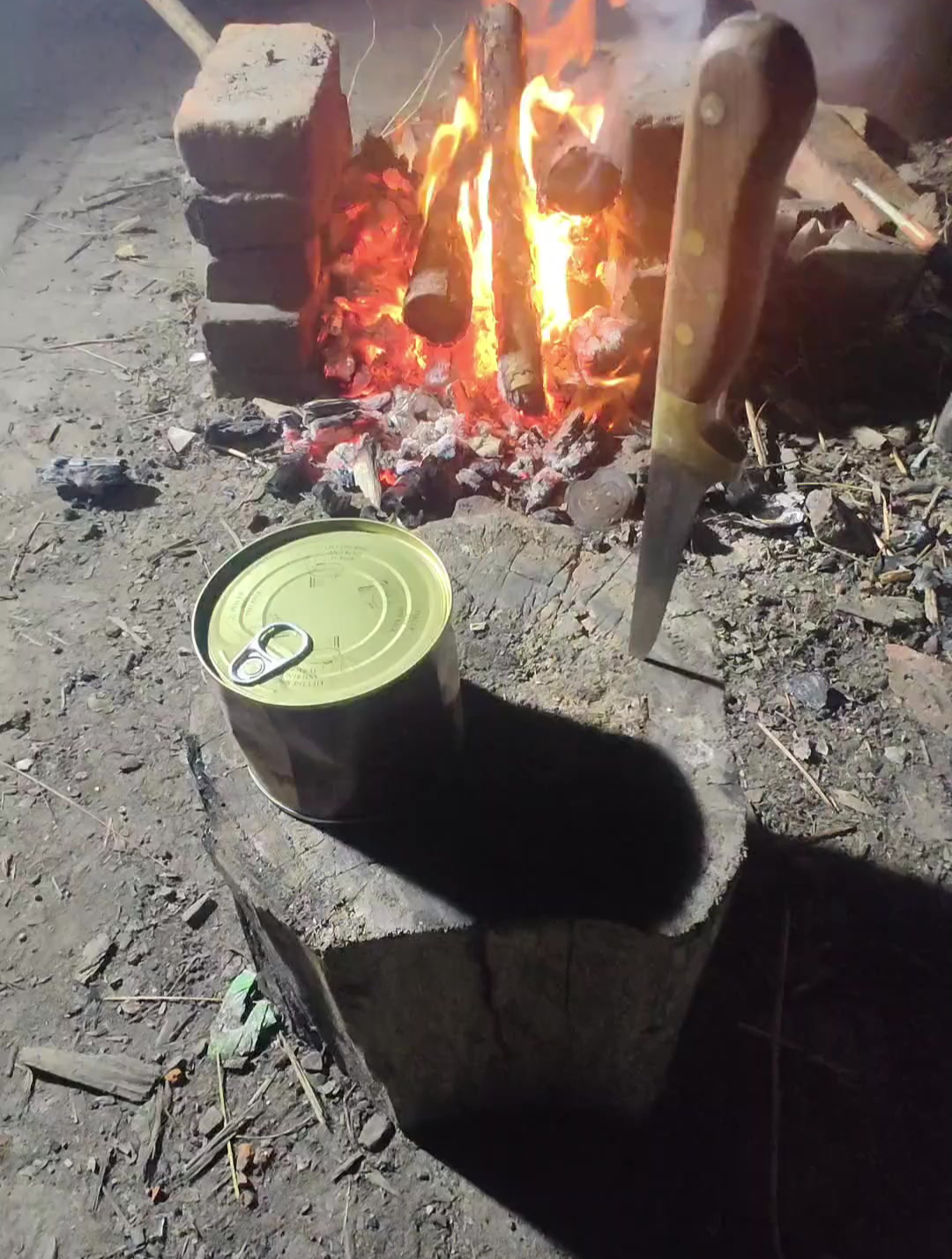 末日废土美食之炖酸菜罐头