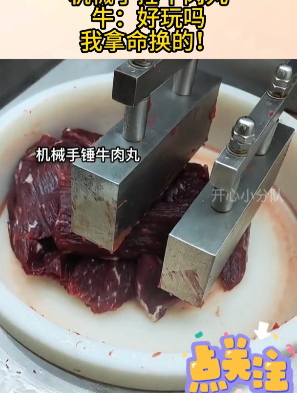 机械手捶牛肉丸牛:觉得好玩吗,我拿命换的!