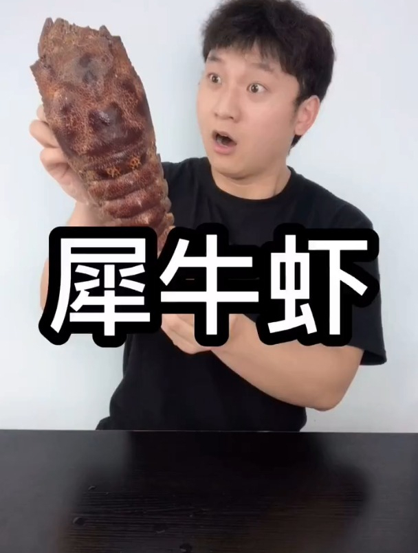 犀牛虾的翻车现场