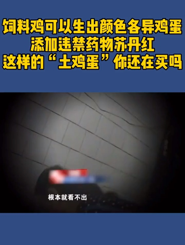 你知道吗?饲料鸡也可以生出颜色各异的鸡蛋