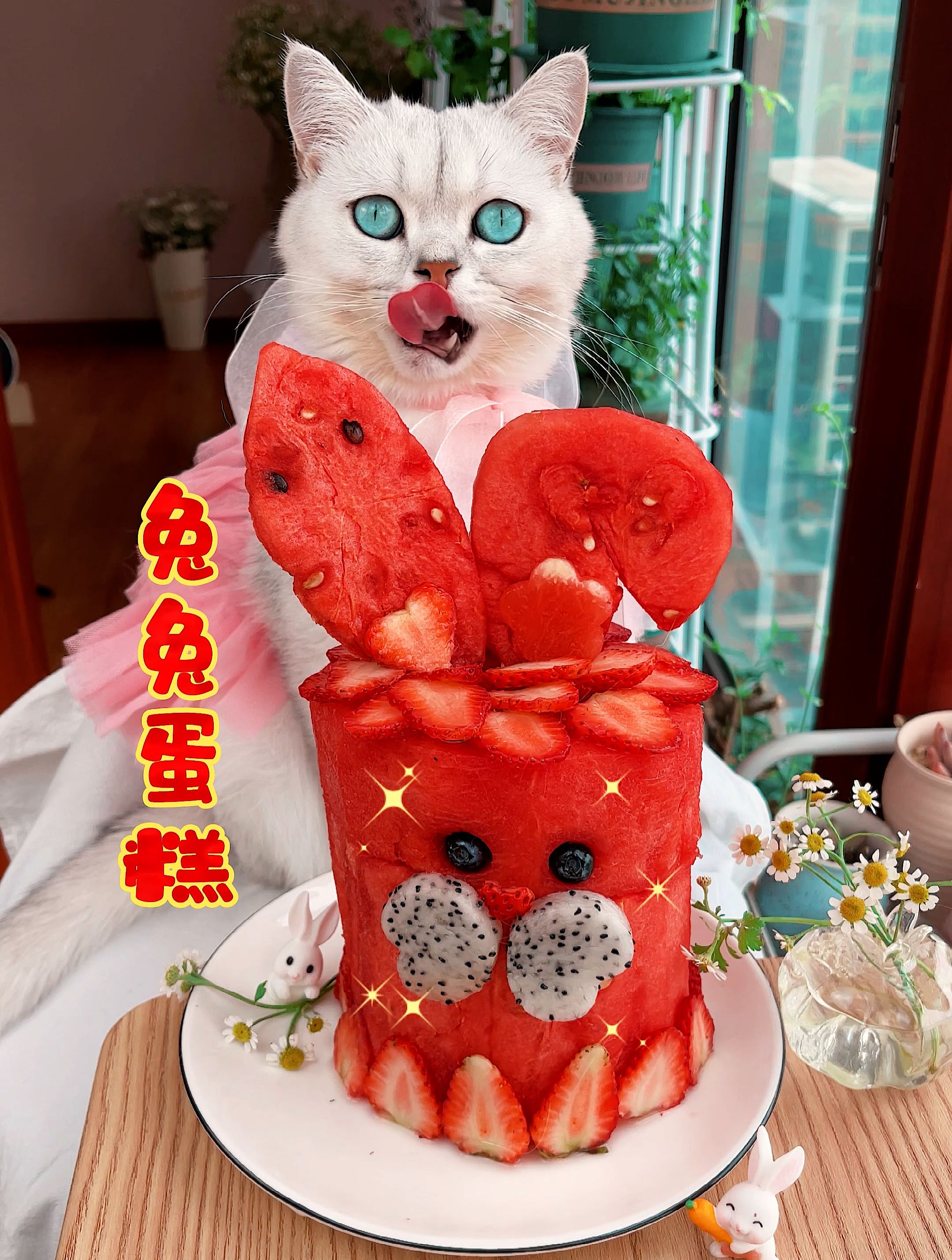 猫老板教你做:西瓜兔兔蛋糕!超级简单又可爱!花式吃西瓜!